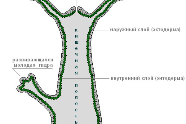 Что такое кракен тор